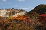 242DSC_6380.jpg