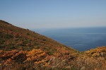 243DSC_6479.jpg