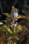 244DSC_6435.jpg