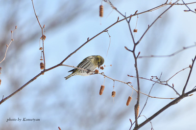 00DSC_1250.jpg