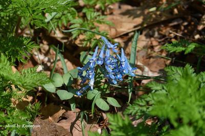00DSC_2472.JPG