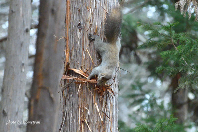 00DSC_4266.jpg
