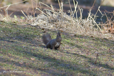 00DSC_5162.jpg