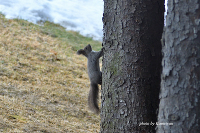 00DSC_7412.jpg