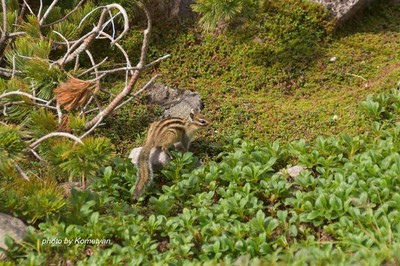 011DSC_3234.JPG