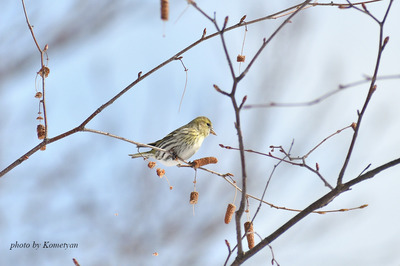 02DSC_1261.jpg