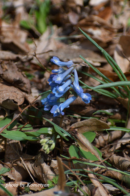 02DSC_2518.JPG