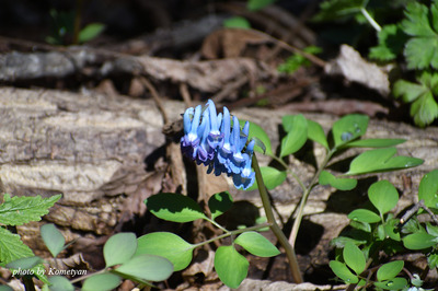 02DSC_5797.jpg