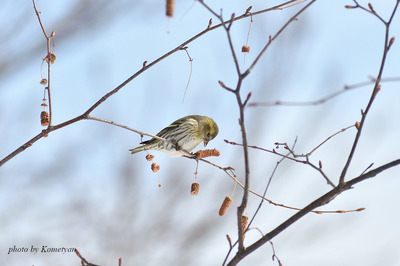 04DSC_1288.jpg