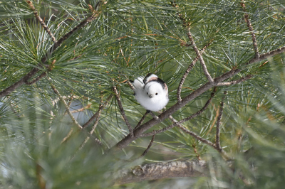 072DSC_3743.jpg