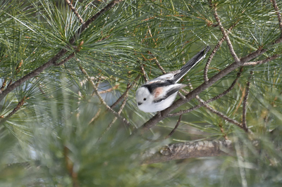 074DSC_3745.jpg