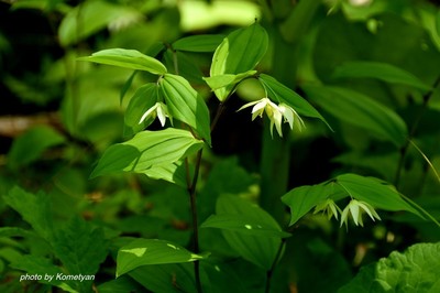 081DSC_1588.JPG