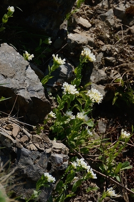 092DSC_4591.JPG