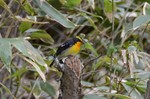 094DSC_0186.jpg