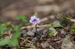 095DSC_0026.jpg
