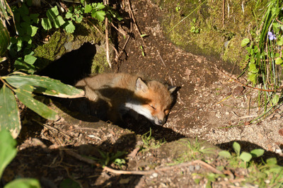 103DSC_9887.JPG
