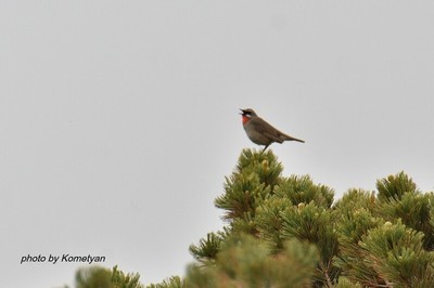 121DSC_9596.JPG