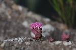 122DSC_7870.jpg