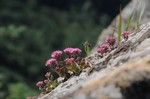 123DSC_7770.jpg
