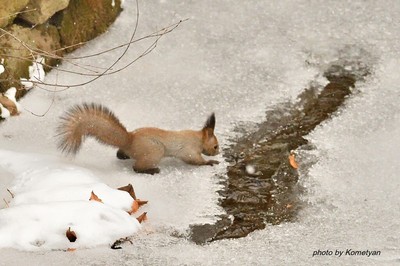 124DSC_2884.JPG