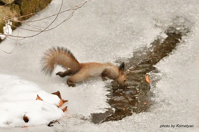 125DSC_2913.JPG