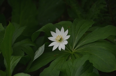 131DSC_0620.jpg