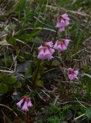 132DSC_0575.jpg