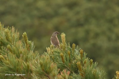 132DSC_0766.JPG