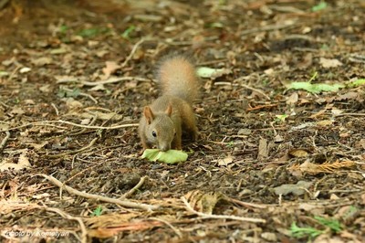 133DSC_6722.JPG
