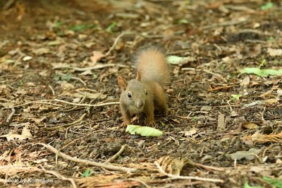 134DSC_6723.JPG
