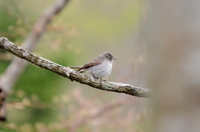 144DSC_3861.jpg