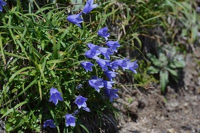 144DSC_9067.jpg