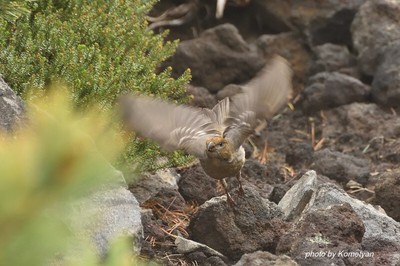 145DSC_1023.JPG