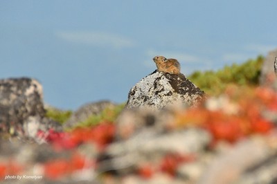 151DSC_8761.JPG