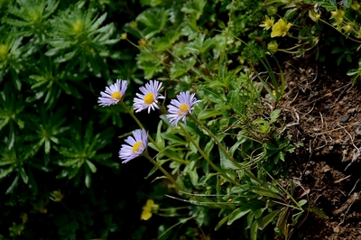 161DSC_2639.JPG