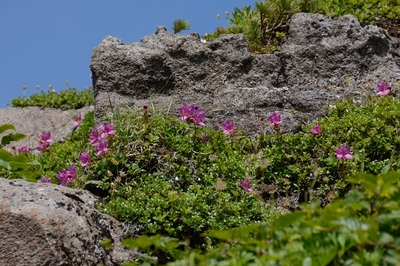 163DSC_2519.JPG