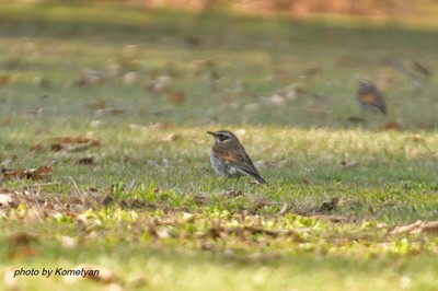 163DSC_6309.JPG