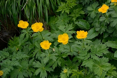 164DSC_2486.JPG