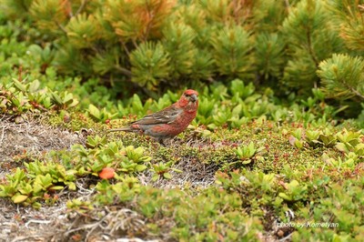 184DSC_3933.JPG