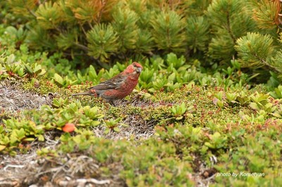 185DSC_3937.JPG