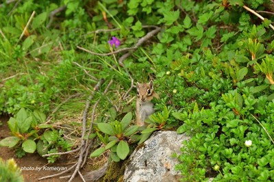 192DSC_3865.JPG