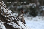 20110101DSC_1771.jpg