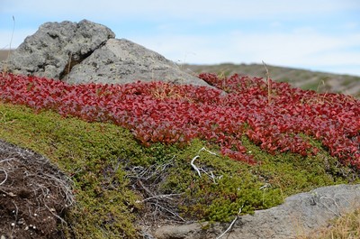 201DSC_9631.jpg