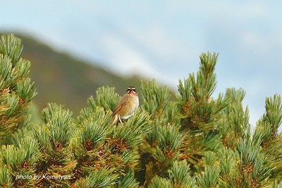 212DSC_3831.JPG