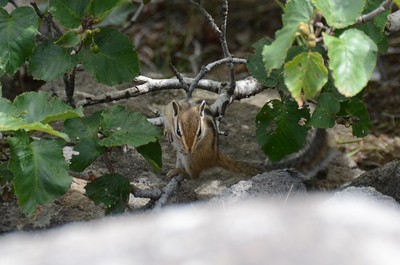 215DSC_0420.jpg