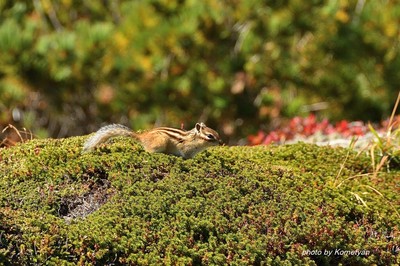 221DSC_3921.JPG