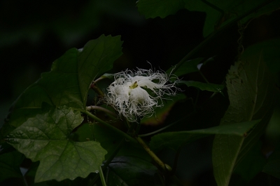 221DSC_8329.jpg