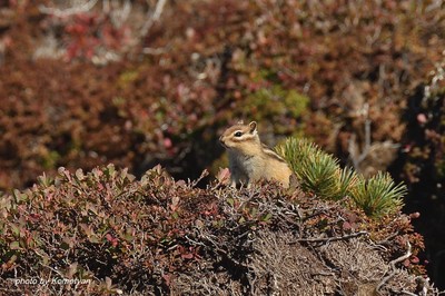224DSC_4263_01.JPG