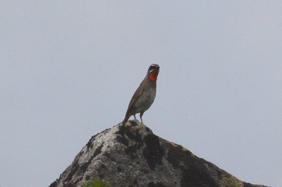 255DSC_0330.jpg