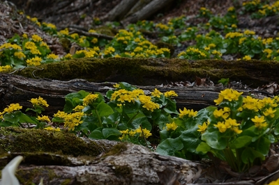 282DSC_8827.jpg